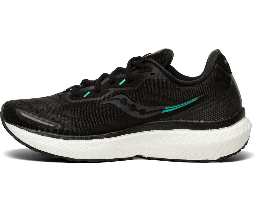 Women's Saucony Triumph 19 Running Shoes Black / White | Singapore 209QMAZ